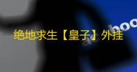 绝地求生【皇子】外挂