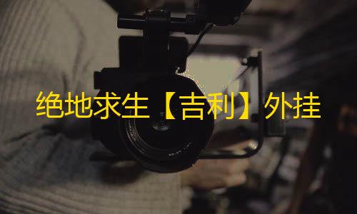 绝地求生【吉利】外挂