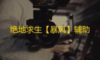绝地求生【暴风】辅助
