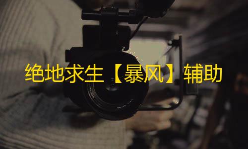 绝地求生【暴风】辅助