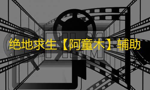 绝地求生【阿童木】辅助